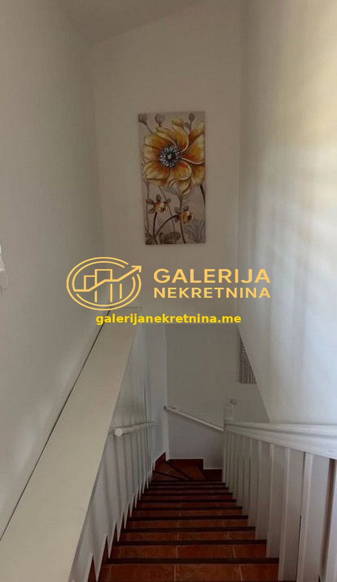 photo_5783070999485467355_x