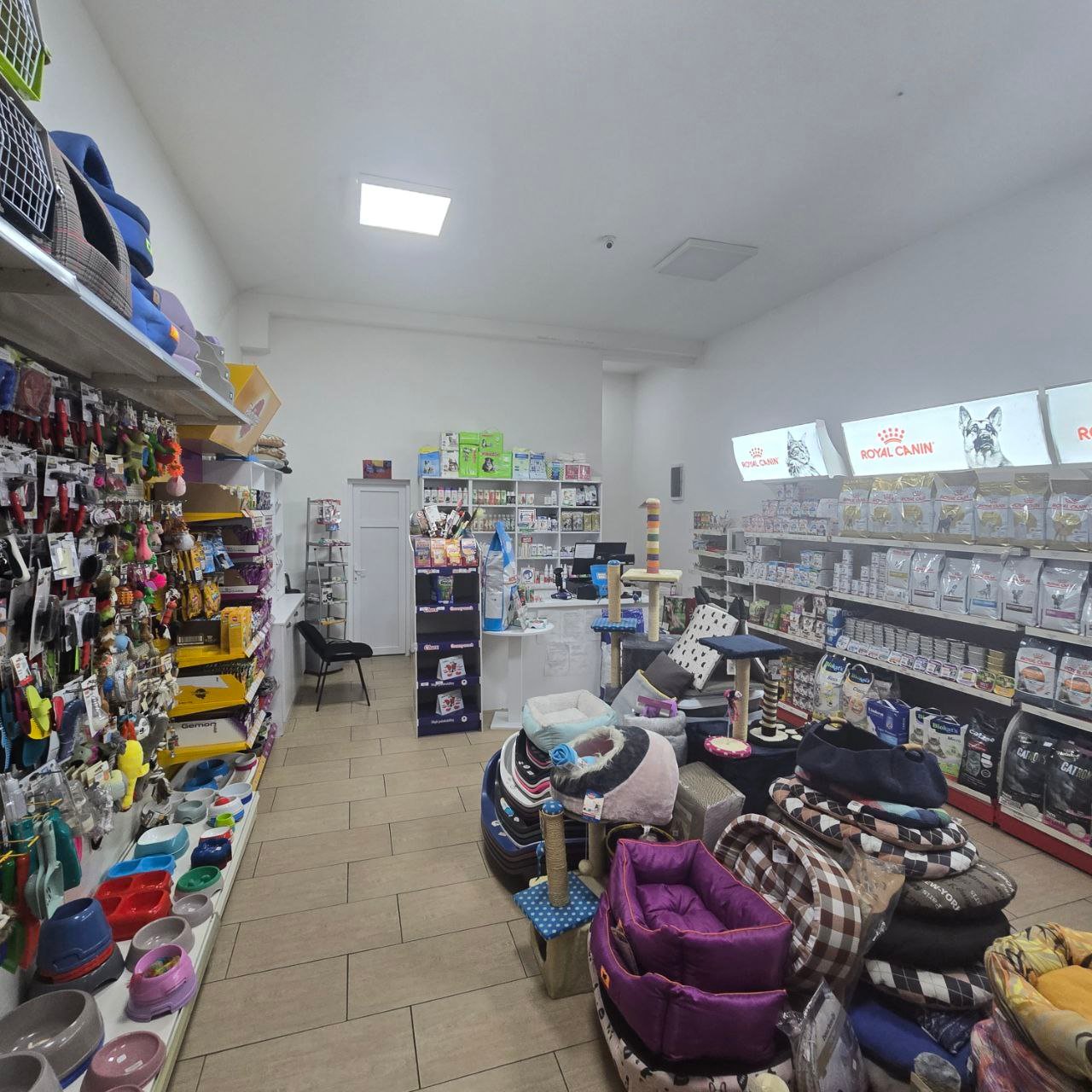 photo_5890719660364205191_y