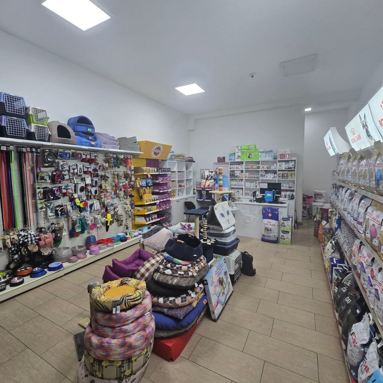 photo_5890719660364205192_y