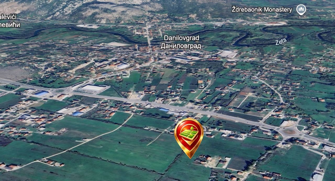 photo_5933749666392509975_y